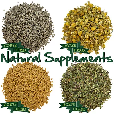 Horse Herbs Natural Feed Supplements 1kg - Natural Health Supplements For Horses • £26.99