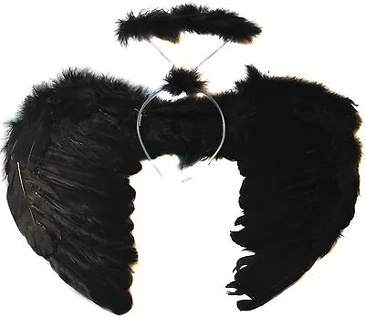 Feather Wings And Halo Set Halloween Fancy Dress Ladies Dark Angel Costume • £4.49