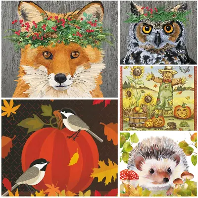 Decoupage Napkins X4 Hedgehog Scarecrow Fox Owl Autumn Pumpkin Mix Packs Avail • £2.79