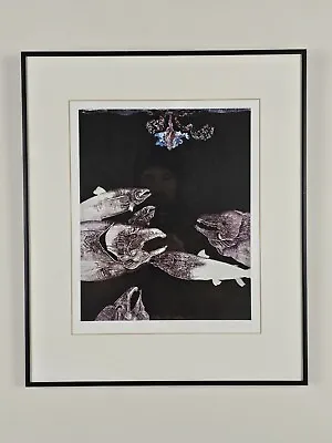 Vintage 1979 Signed Alan E. Cober Limited Edition Fish Print  20x17 Framed Art • $900