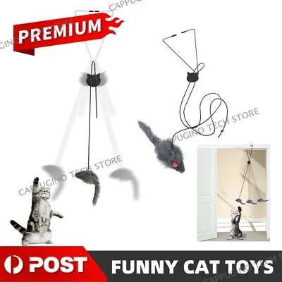 Pet Cat Toy Mouse Door Hanging Automatic Funny Kitten Play Teaser Interactive AU • $9.86