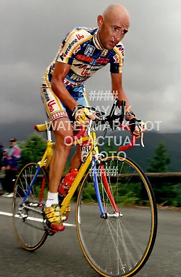 Marco Pantani 1997 Tour De France Quality Photo Print Choose Size • £3.99