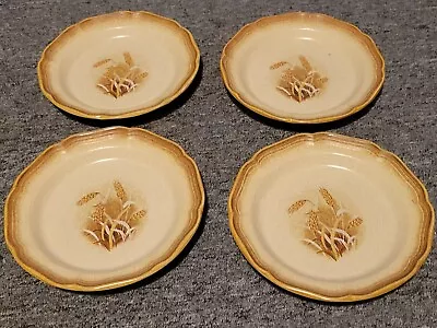 Mikasa Whole Wheat Granola Salad Plate E8001 8  Lot Of 4 Oven/DW Safe Stoneware • $20