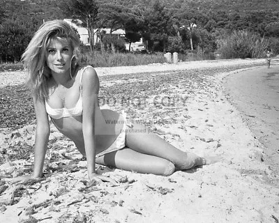 Catherine Deneuve French Actress Pin Up - 8x10 Publicity Photo (rt194) • $8.87