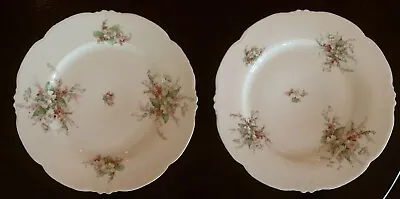 2 Vintage Habsburg Plate Dish China Austria Porcelain Pink Flower Apple Blossom • $11.98