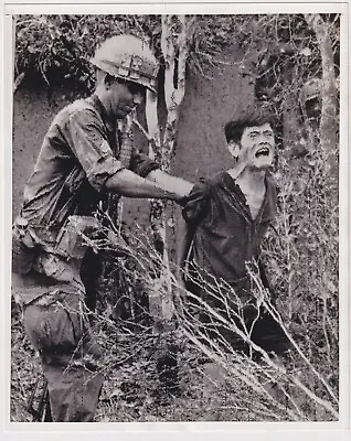 BILL HALL* A TIED-UP PROTESTING VIET CONG * VIETNAM WAR * VINTAGE 1967 Photo • $31