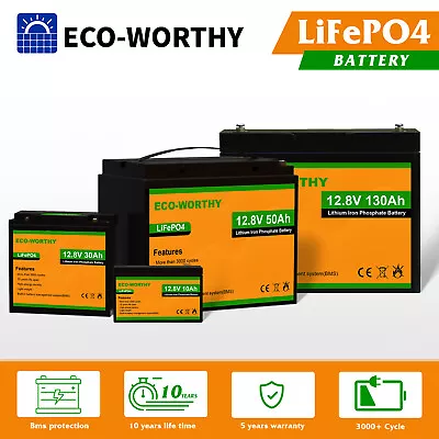 130AH 100Ah 50Ah 30Ah 10Ah 12V Lithium Iron Battery LiFePO4 Cell Deep Cycle BMS • $76.99