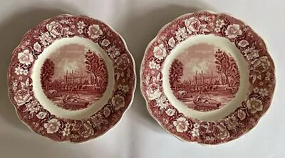 2 X Palissy Pottery Red Pink Thames River Scenes Dinner Plate Eton College Scene • £9.95