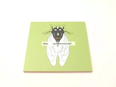 NEW Montessori Zoology Material - Wooden Fly Puzzle • $8.89