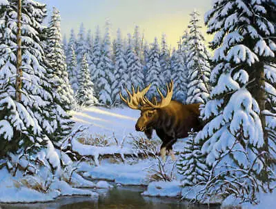 The Loner By Derk Hansen Stunning Nature Moose Art Print Poster 13x19 • $18.95