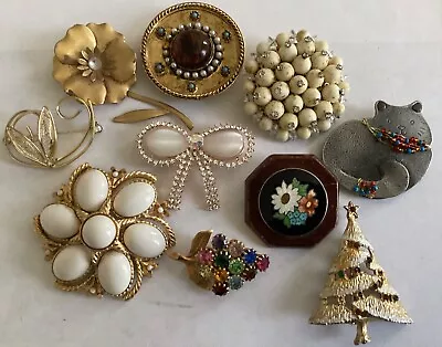 Vintage Lot Of 10 Brooches Jewelry   • $10