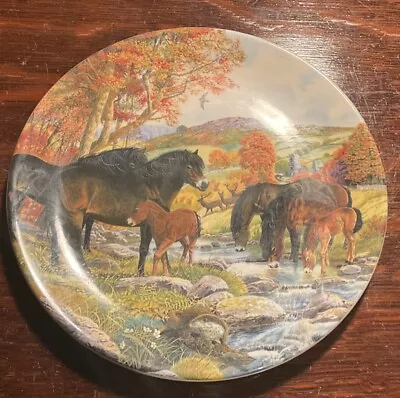 Davenport Pottery Collectors Plate Exmoor Ponies • £2