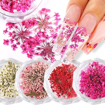 Dried Flower Nail Decor Natural Floral Dry Flowers Nail Art Manicure Accessories • £2.03