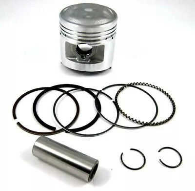 CT110 Postie Bike Piston Kit  Standard Size • $49