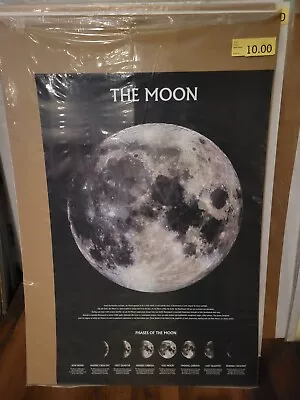 Moon-Phases 24x36- Science Poster • $6.80