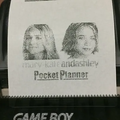 Mary Kate & Ashley Pocket Planner (GBC) Game Boy Printer Print-Outs (17) • $10