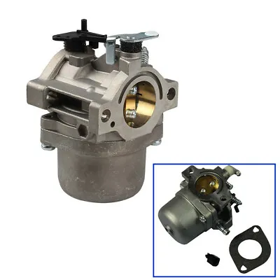 Carburetor For LMT 5-4993 Carb Engine Motor Parts 799728 • $26.87