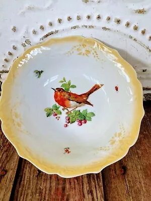 Vintage Germany Porcelain Bowl Robin Bird Lady Bug Fly • $38