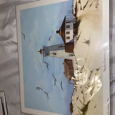 Marty Wilson Ship Island Light Station Art Print • $35