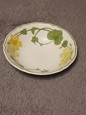 VILLEROY&BOCH  GERANIUM  Pat#1748 CEREAL BOWL (Non Ribbed Rim) MADE IN GERMANY • $17