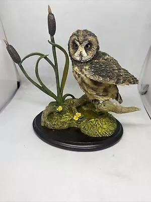 Owl Ornament Short Eared Owl With Bulrushes Country Artists Collection • £30