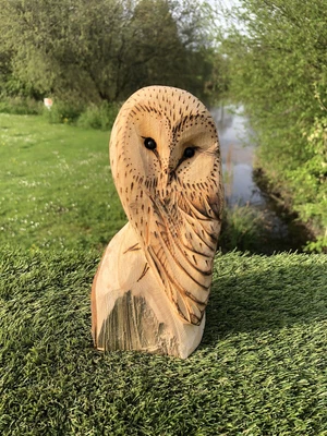 £55 • Buy Bespoke Chainsaw Owl Carvings In Wood 1320237