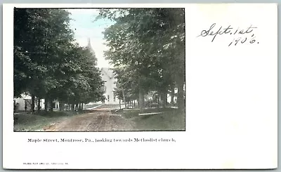 Montrose Pa Maple Street Undivided Antique Postcard • $13.99