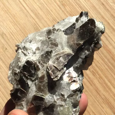 Muscovite Mica On Quartz Crystal Natural Mineral Specimen 3   142g Republic MI • $10