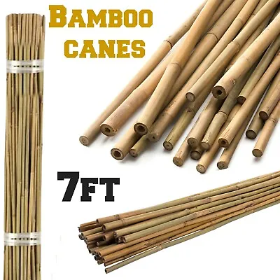 7FT Bamboo Heavy Duty Garden Canes Thick Cane Support Plant Flower Veg Stakes • £21.95