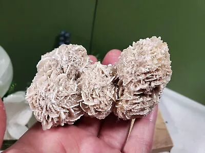$24.99 • Buy Desert Rose Selenite crystal Cluster From Mexico Sand Rose Rock Stone 152g 3.25 