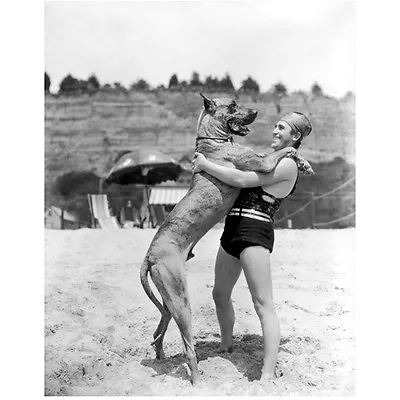 Harold Lloyd Having Some Fun Times With His Great Dane 8 X 10 Inch Photo • $8.99