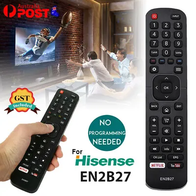 TV Remote For HISENSE  EN2B27 ORIGINAL OEM Control EN-2B27 RC3394402/01 3139 238 • $6.42