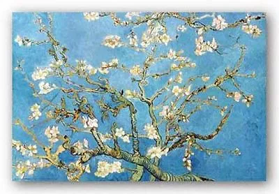 ART POSTER Almond Blossom Branches San Remy 1890 Vincent Van Gogh • $7.99