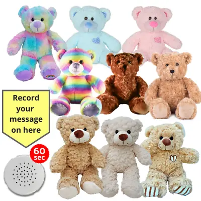 £23.99 • Buy Record A Baby Heartbeat / Message Teddy Bear With Gift Box - 25cm/10 