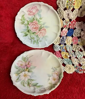 Vtg 2 Pc Rosenthal Crown Claire Bavaria Plates Rose And Wild Rose Design • $25