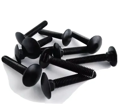 Black Stainless Steel Carriage Bolts / Cup Square Coach Bolts Inc FREE FULL NUTS • £8.94