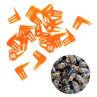 20Pcs/Set Bee Queen Cell Cover Beekeeping Tool Beekeeper Plastic Cage ProtecYJAY • $7.71