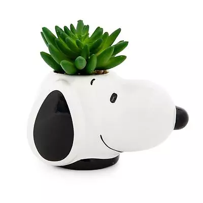 Peanuts Snoopy Face Ceramic Mini Planter With Artificial Succulent | 3.5 L X 5  • $24.99