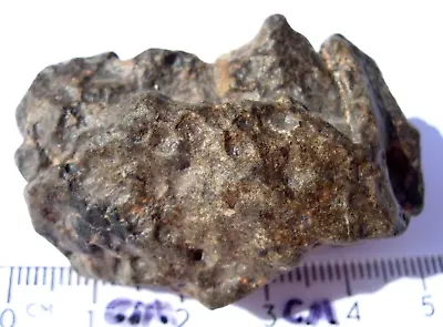 32.9 Grams As Found Individual Amgala 001 Martian Shergottite Mars Meteorite COA • $1699