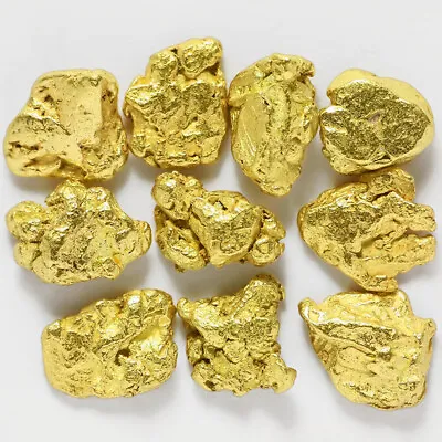 10 Pcs Alaska Natural Gold - Size 0.5-1mm - TV Gold Rush Alaska (#.5-2) • $9.99