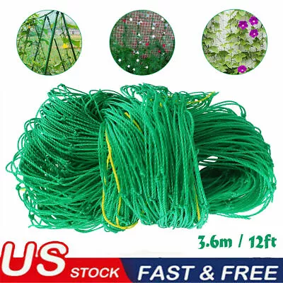 Garden Plant Climbing Net Trellis Netting Mesh Support Fruits Vine Veggie Bean • $8.59