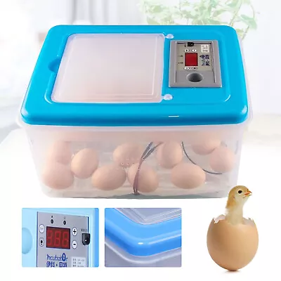 65 Egg Incubator Automatic Chicken Quail Chick Hatcher Incubators For Hatching • $36.10