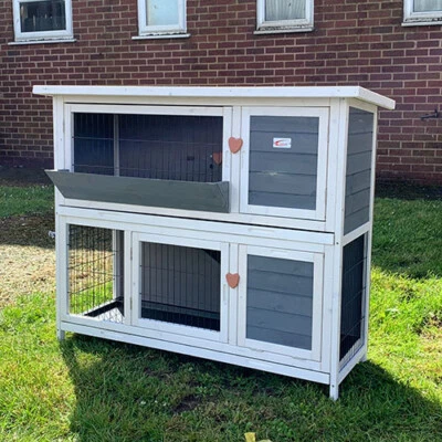 £19.99 • Buy 48  Rabbit / Guinea Pig Hutch Hutches Run Runs Bunny Business The Bb-48-ddl-hr