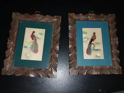 (2) Feather Bird Pictures With Hand Carved Frames Jacaman Gifts • $17.99