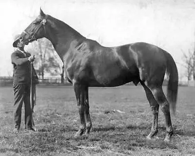 Man O'War Race Day 8x10 Picture Celebrity Print • $3.99