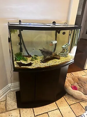50-gallon Bow-front Aquarium Stand And More $245 • $249