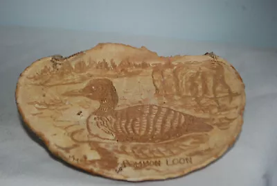 DOMMON LOON SCRIMSHAWED/ETCHED  On The Inside Of A DRIED Mushroom • $30