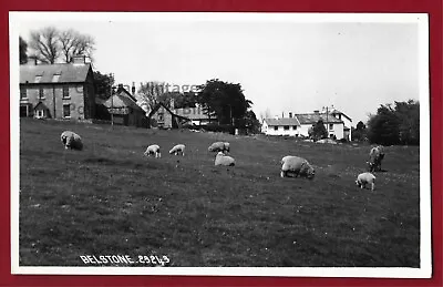 RP Belstone Houses Sheep Etc Chapman Real Photo Postcard Dartmoor Devon • £6.95