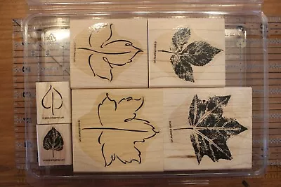 Mounted Stampin' Up Wood Stamp Set 6 Lovely Leaves Maple Leaf Autumn Fall Tree H • $7