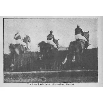 Horse Racing Open Ditch On The Surrey Steeplechase At Gatwick Antique Print 1903 • £5.99